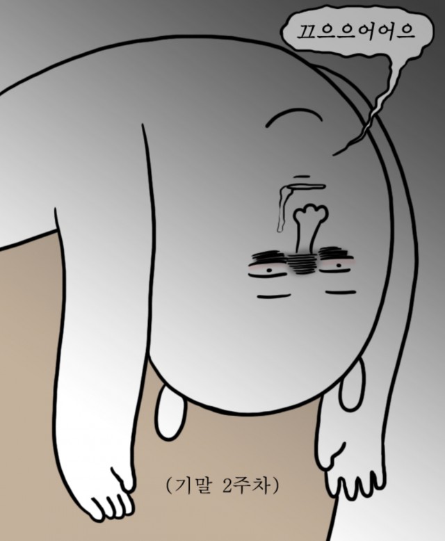 [웹툰 리뷰]대학일기 - 자까