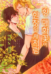 [B-가든] 황 매화꽃이 한창일 때처럼