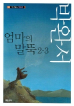 엄마의 말뚝 2.3 - 다시읽는 박완서 22