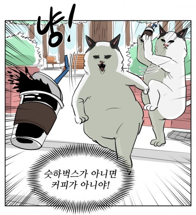 냥하무인