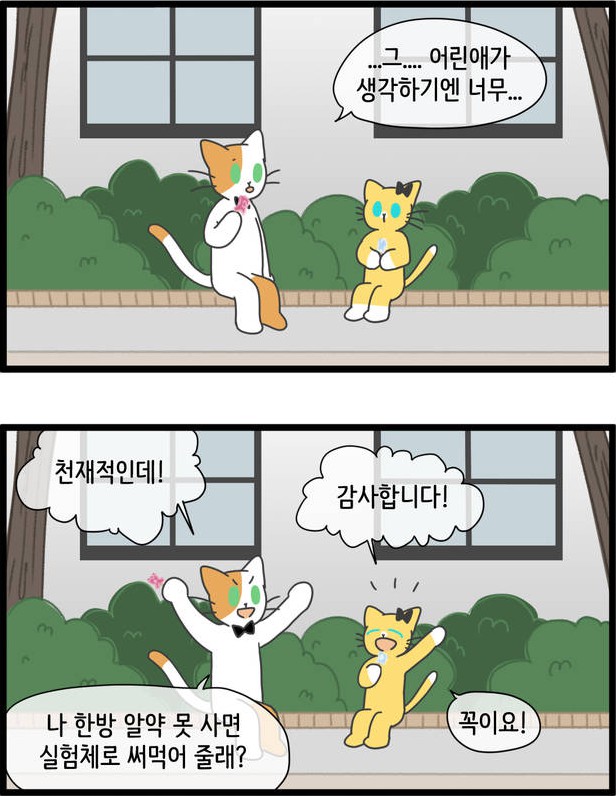 [웹툰 리뷰]자살캣 - 연양갱