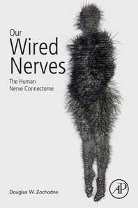Our Wired Nerves: The Human Nerve Connectome