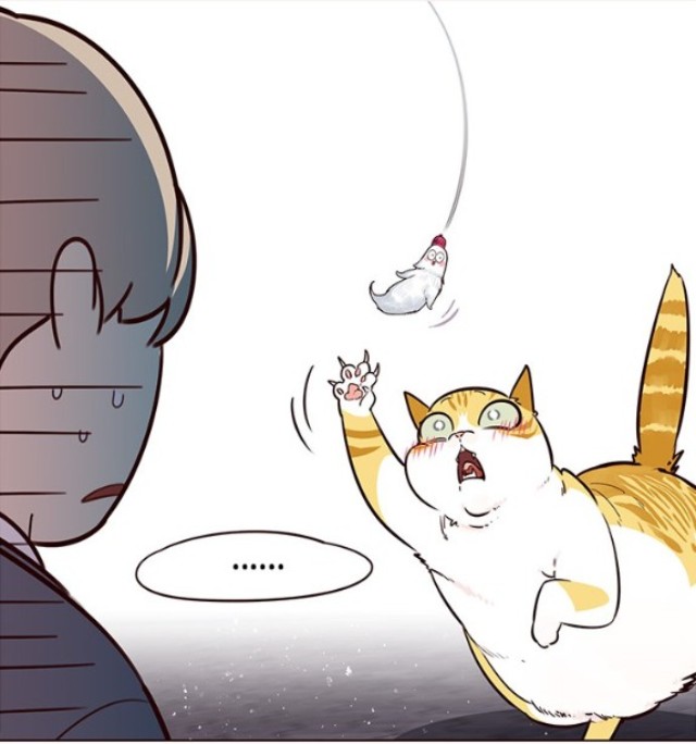 6.PNG