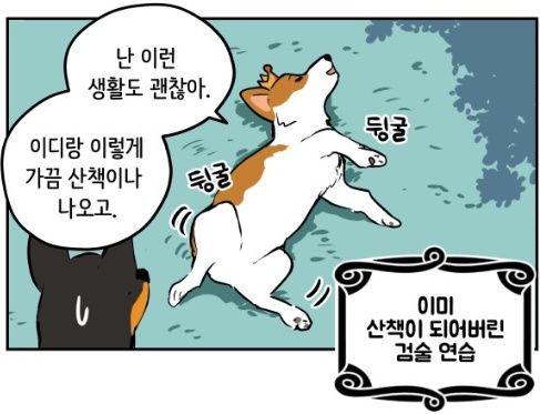 naver_com_20190902_072654.jpg