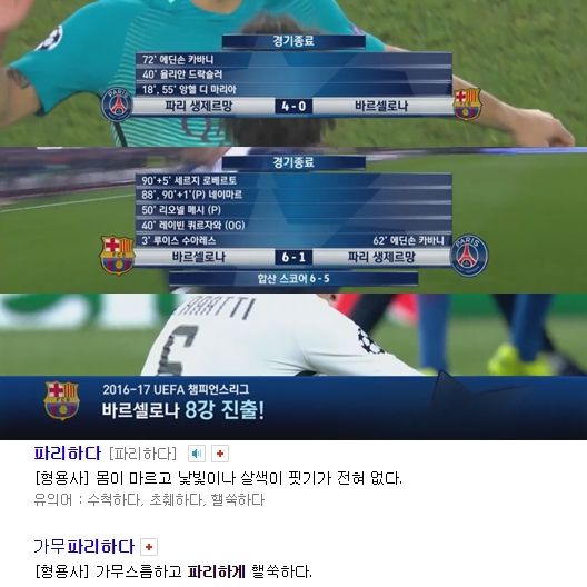 63.「와싯의 파스타툰 303」굿보당콜, 파리하다, 5+1