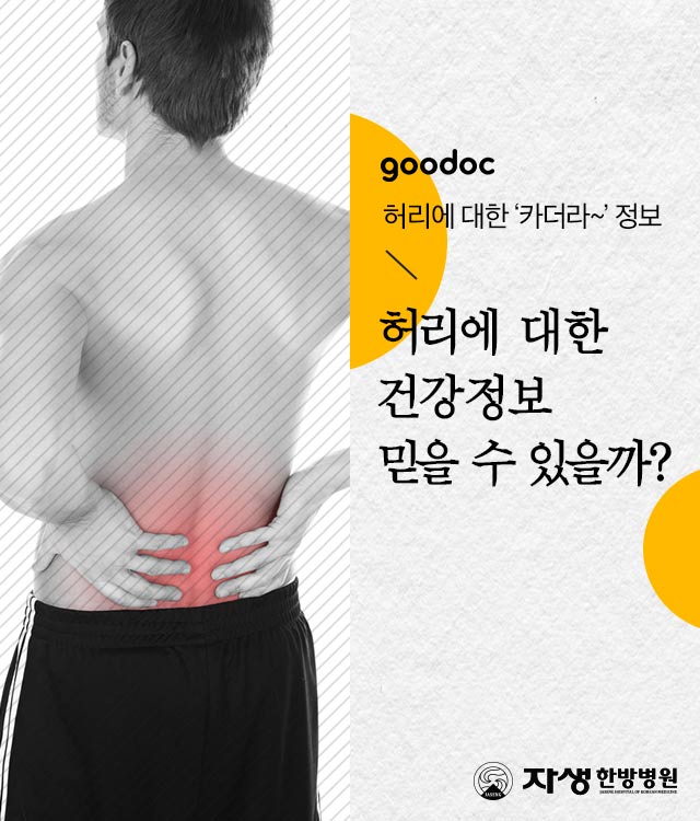 [허리] 허리에 대한 정확한 건강정보 | 출처 : 굿닥