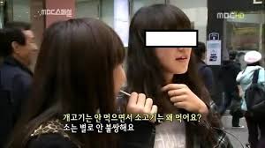 42. 「와싯의 파스타툰 298」이제야 이쪽을 보는구나