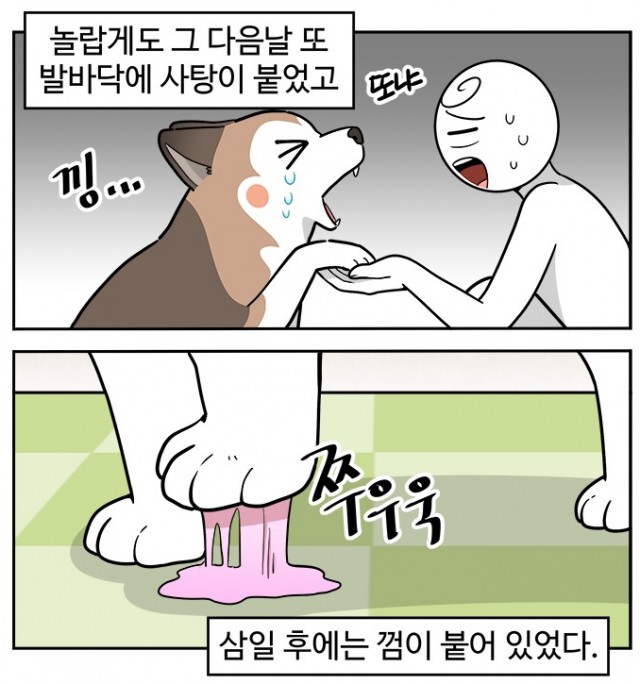 노곤하개 노곤하개