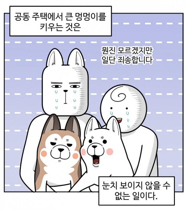 노곤하개 노곤하개