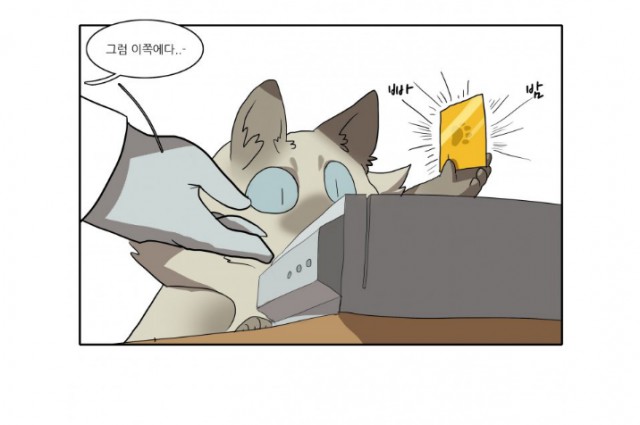 [웹툰 리뷰]고양이 아가씨와 경호원들 - 곰스님