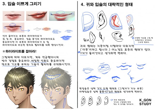 케이곤의 사이툴 기초 얼굴 드로잉/채색 강좌 4 - 입술 이쁘게 그리기, 귀와 입술의 대략적인 형태