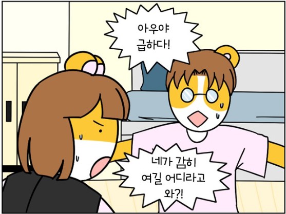 자취로운생활