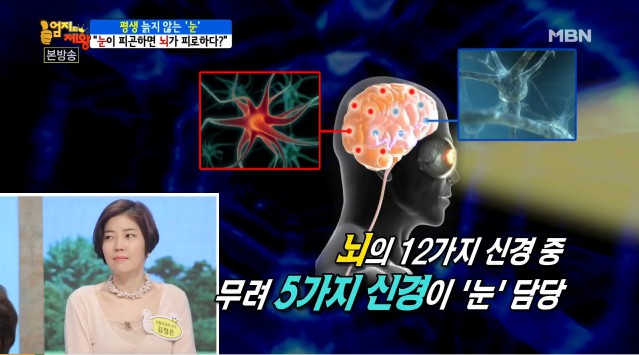 [눈] 눈이 행복해지는 눈 건강 비결 | 출처 : 굿닥