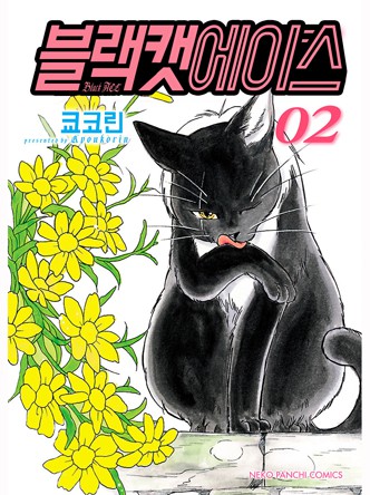 블랙캣에이스