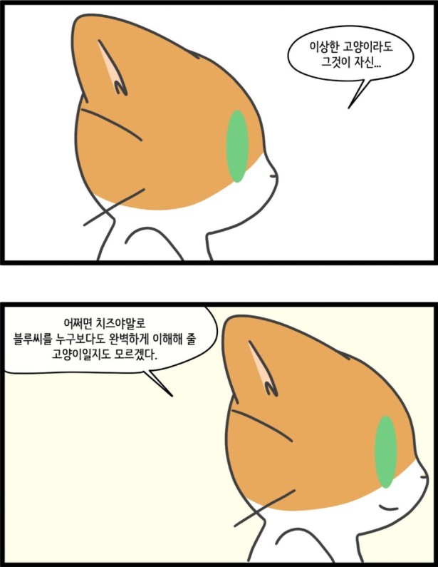 [웹툰 리뷰]자살캣 - 연양갱