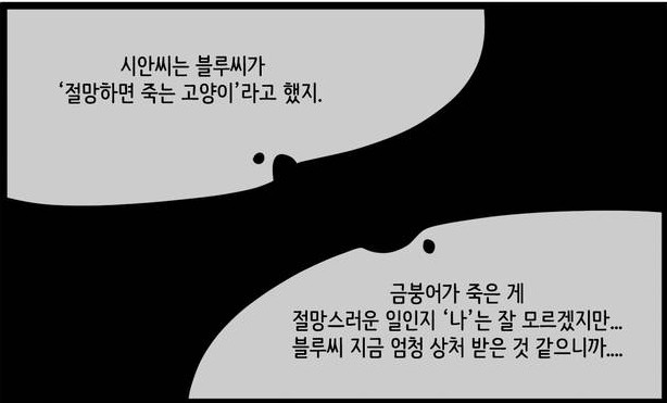 [웹툰 리뷰]자살캣 - 연양갱