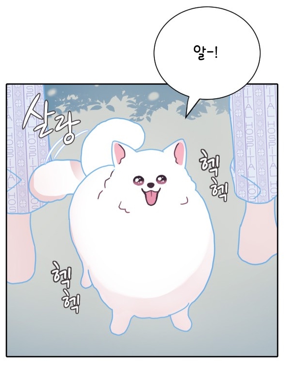 너에게만보이는