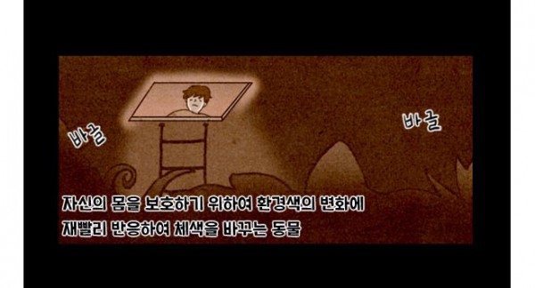카멜레온1.JPG