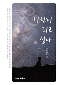 바람이 되고 싶다 - 강전 장편소설