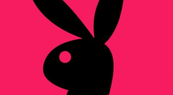 밤토끼 탄원서 모집