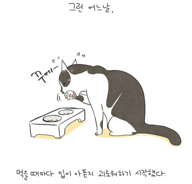 [웹툰 리뷰]뽀짜툰 - 유리