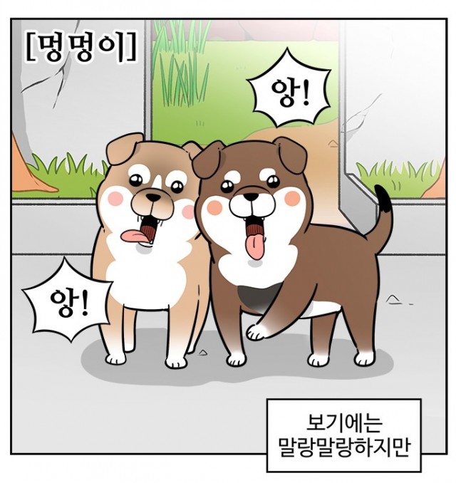 노곤하개 노곤하개