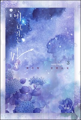 비 내리는 밤 3권