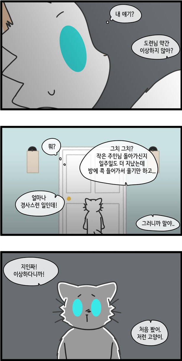 [웹툰 리뷰]자살캣 - 연양갱