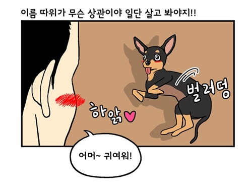[웹툰 리뷰]미래에서 침략한 개 왈왈이 - 이삼희