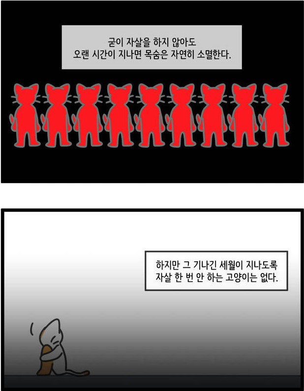 [웹툰 리뷰]자살캣 - 연양갱