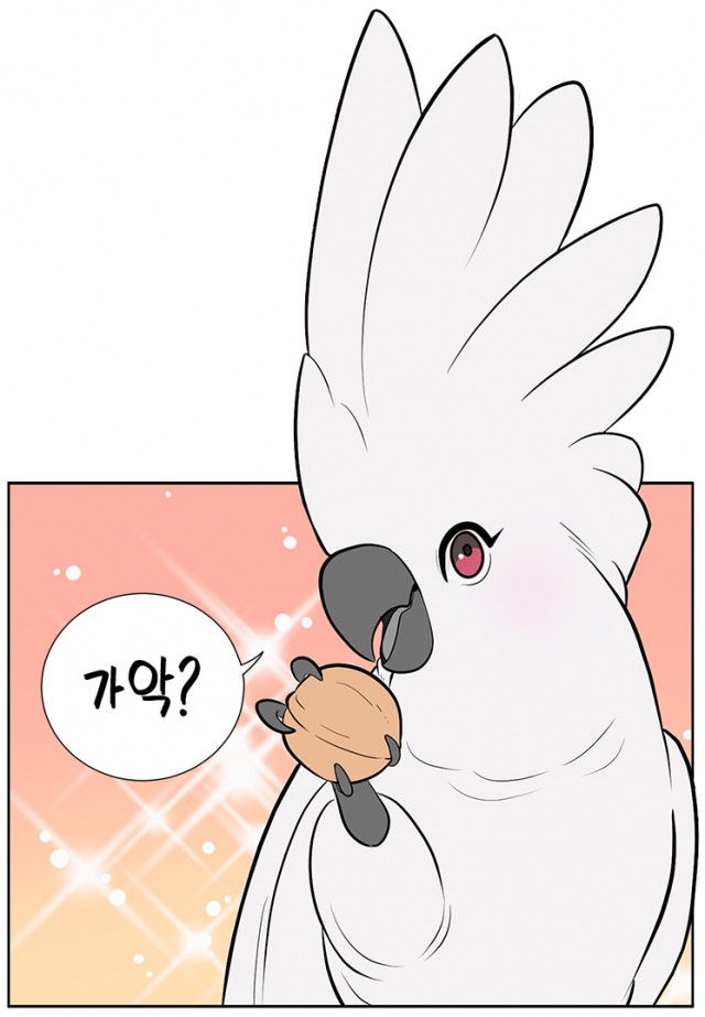 그녀의 앵무새_호두.jpg