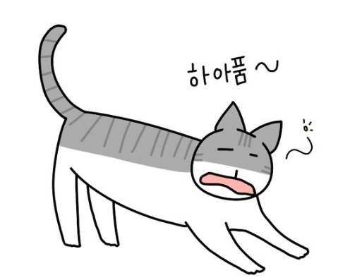 고양이