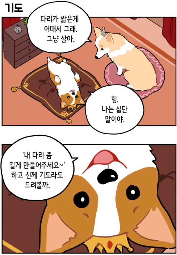 naver_com_20190902_071339.jpg