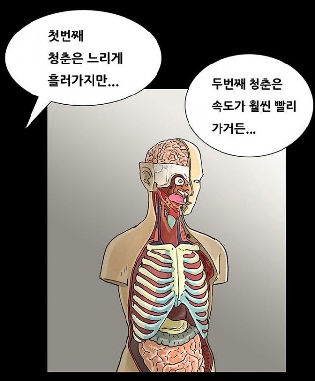 회춘