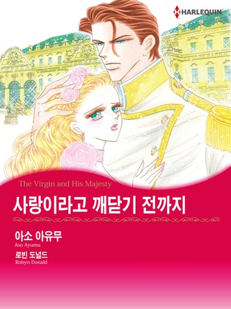 [할리퀸]사랑이라고 깨닫기 전까지