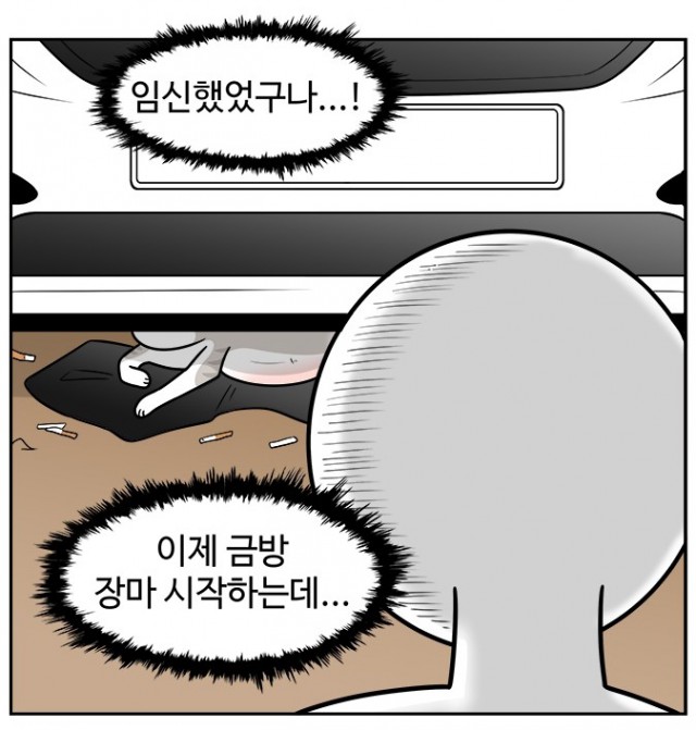 노곤하개 노곤하개