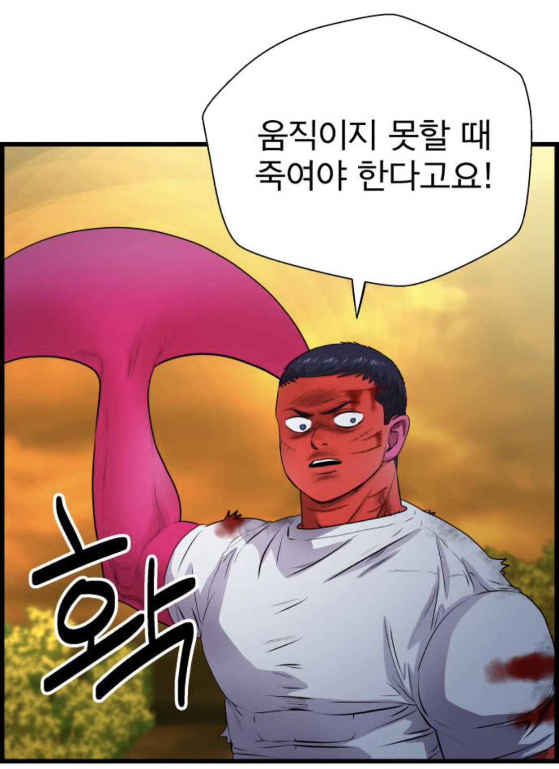 확