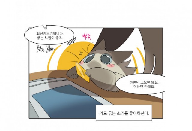 [웹툰 리뷰]고양이 아가씨와 경호원들 - 곰스님