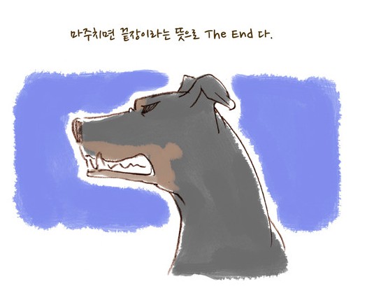 개토주2.png