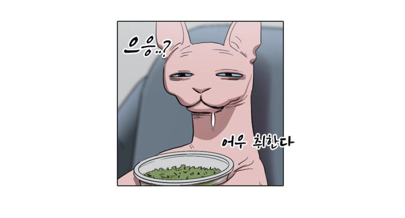 951CB757-FDCE-47B6-B7FF-1BEBB6D61D69.jpeg 951CB757-FDCE-47B6-B7FF-1BEBB6D61D69.jpeg