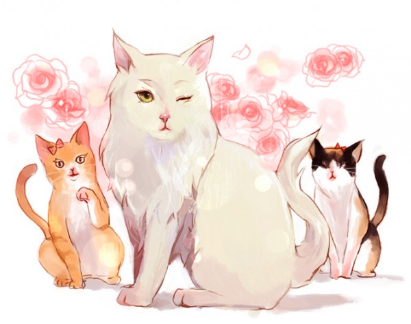 고흔연4.png