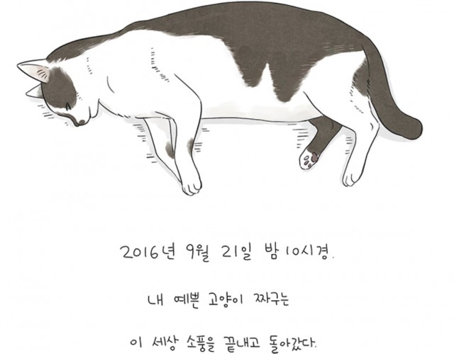 [웹툰 리뷰]뽀짜툰 - 유리