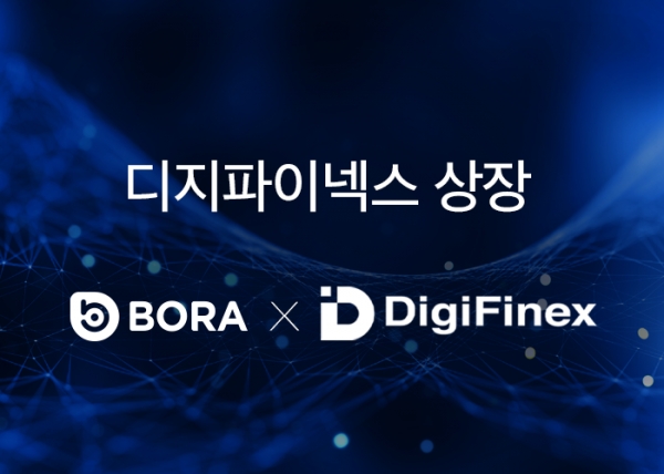 보라 토큰
