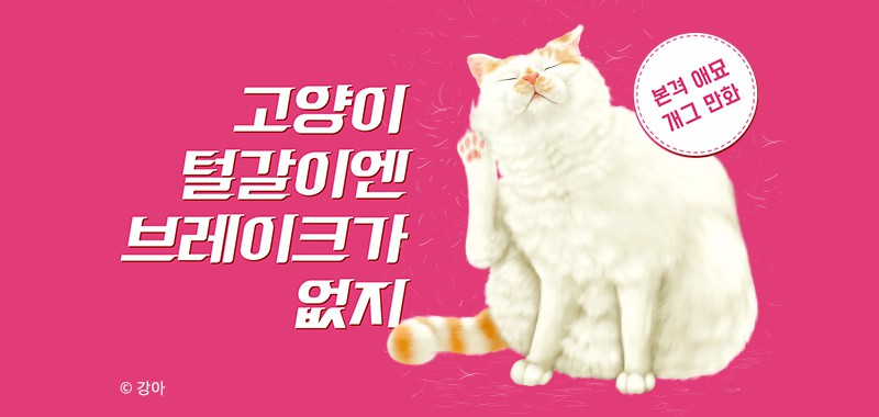 고양이 털갈이엔 브레이크가 없지