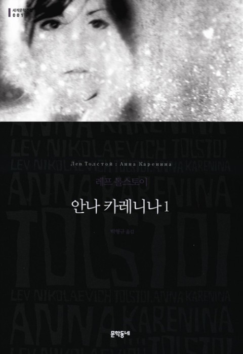 안나 카레니나 세트