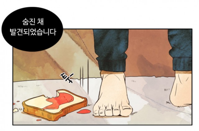 [웹툰 리뷰]경계선 - 씬디 한조각