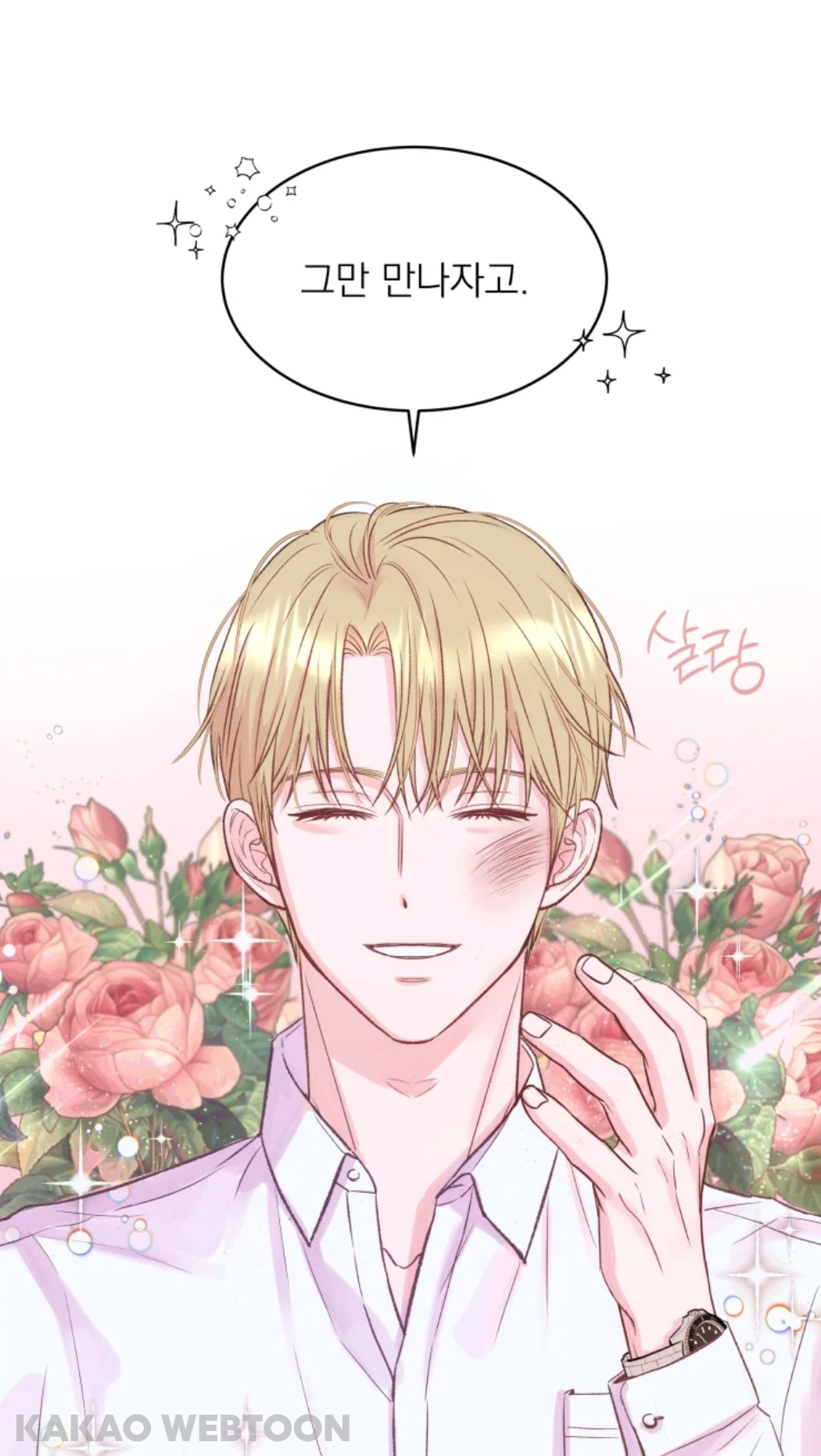 kakaoWebtoon20250529_182816.jpg