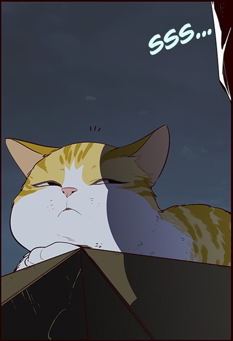 1.PNG
