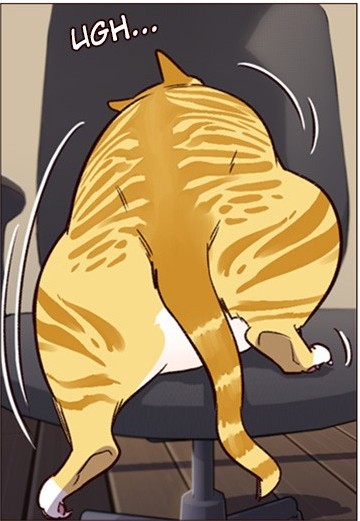 4.PNG