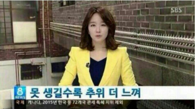 36. '쩌블리즈→쩌리돌즈' 급수정 논란 있었던「와싯의 파스타툰 296」